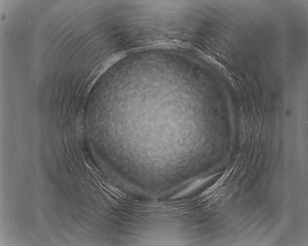 X0000057091170200509301543