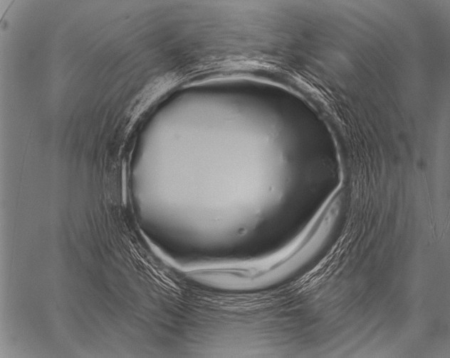 X0000057091171200509301543