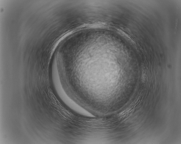 X0000057091174200509301543