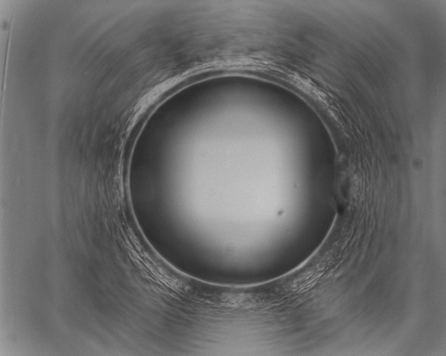 X0000057091176200509301543