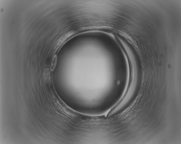 X0000057091177200509301543