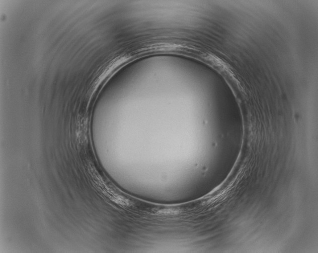 X0000057091178200509301543