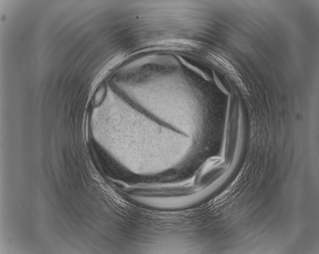 X0000057091180200509301543