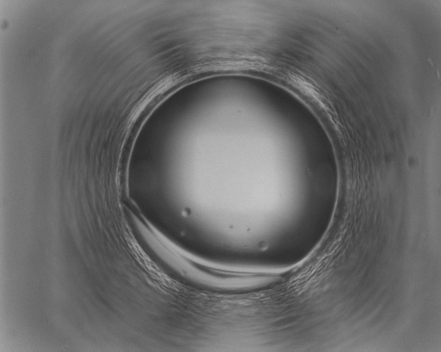 X0000057091181200509301543