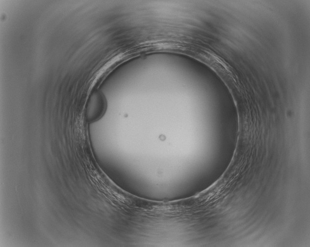 X0000057091182200509301543