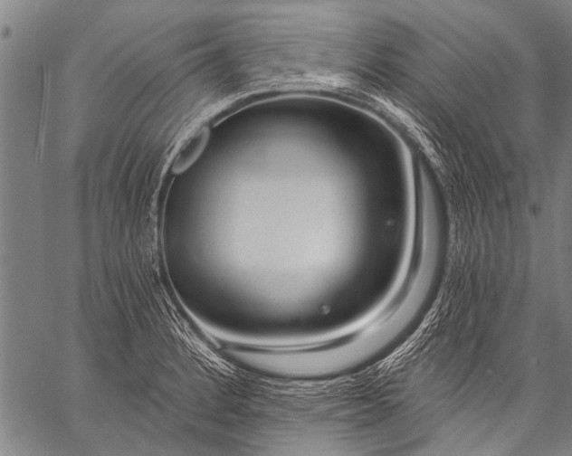 X0000057091184200509301543