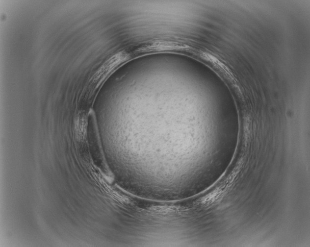 X0000057091185200509301543