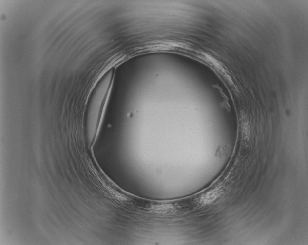 X0000057091186200509301543