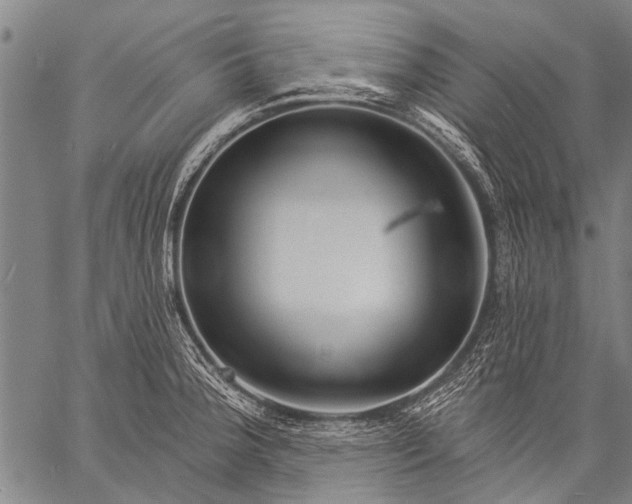 X0000057091188200509301543