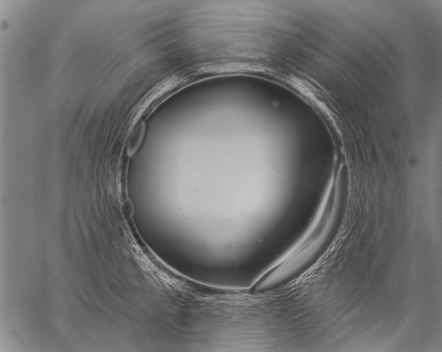 X0000057091189200509301543