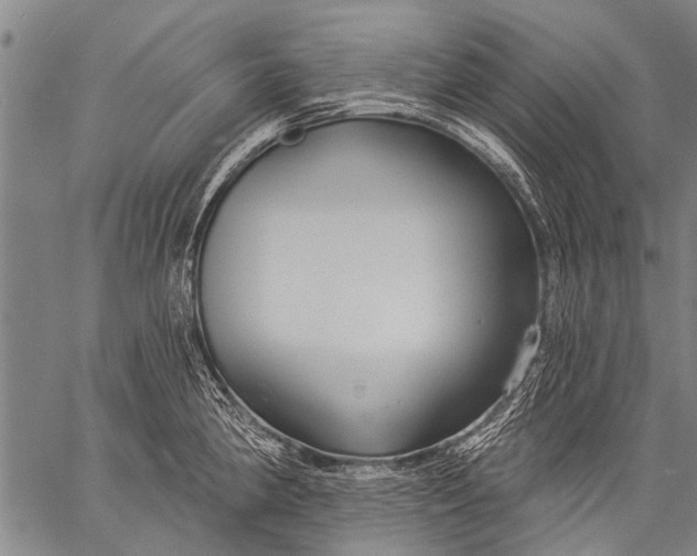 X0000057091190200509301543