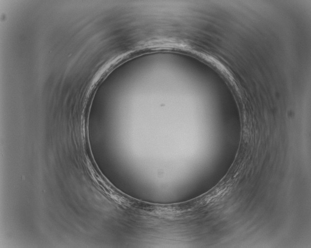 X0000057091191200509301543