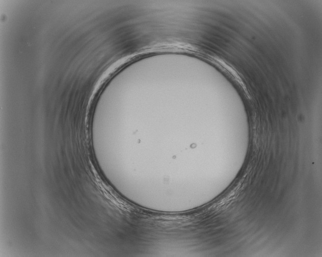 X0000057091192200509301543