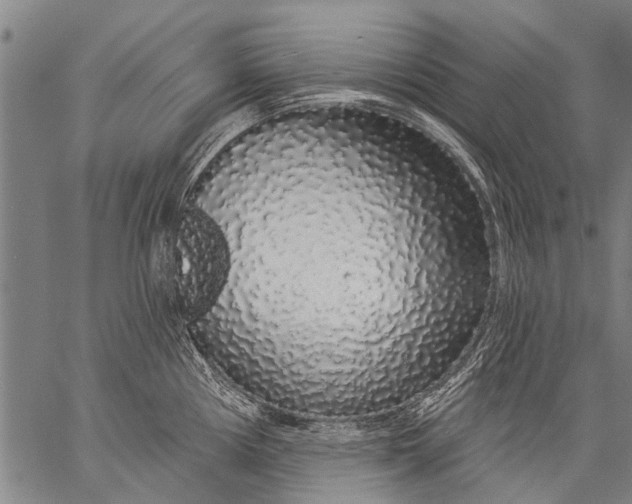 X0000057091194200509301543