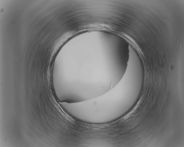 X0000057091196200509301543