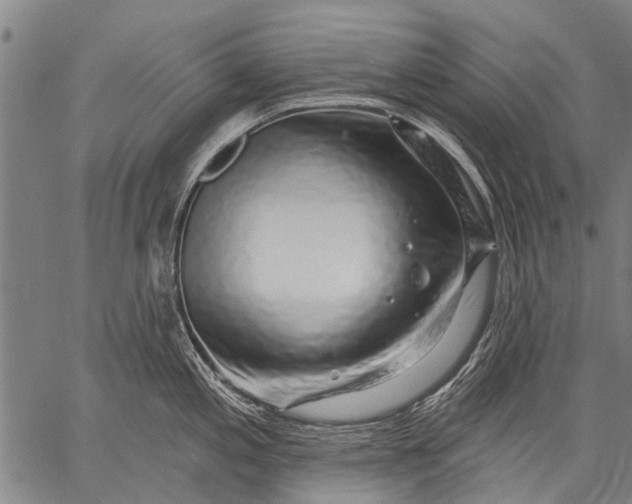 X0000057091197200509301543