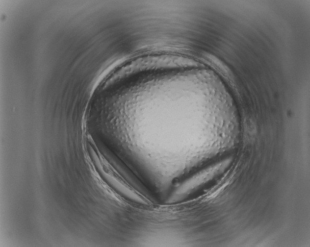 X0000057091198200509301543