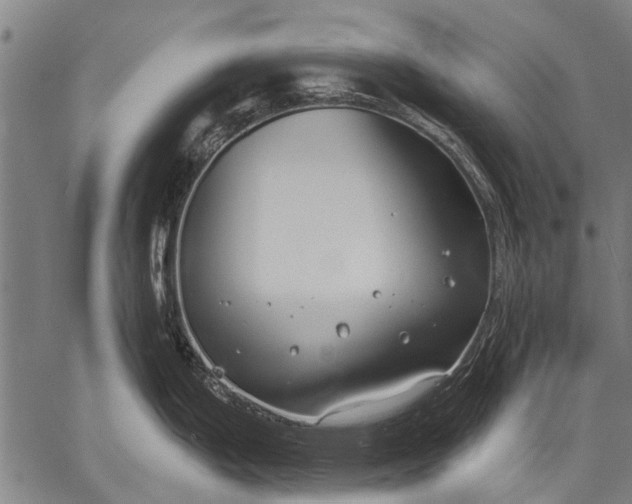 X0000057091199200509301543