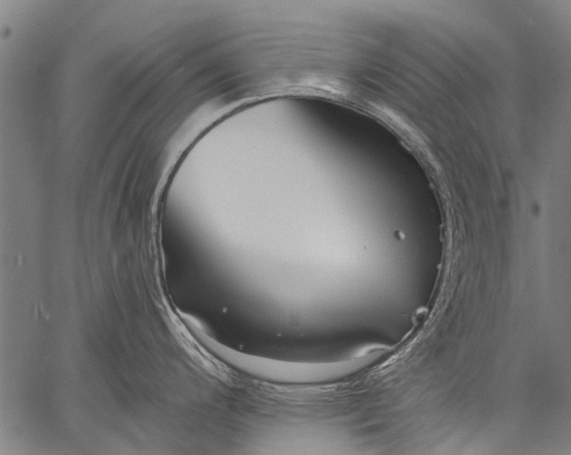 X0000057091200200509301543