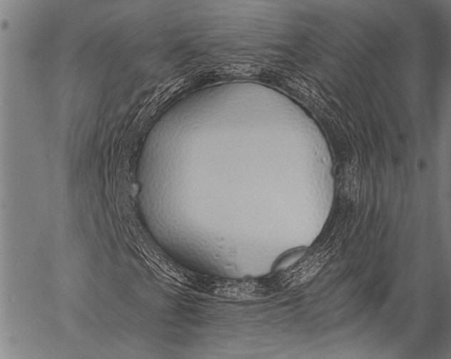 X0000057091201200509301542