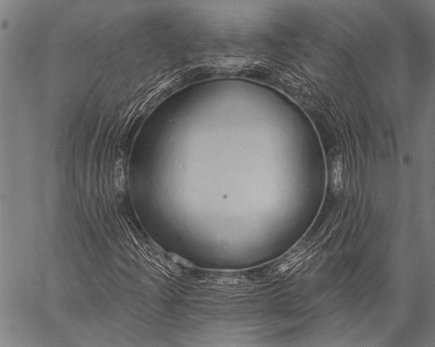 X0000057091204200509301542