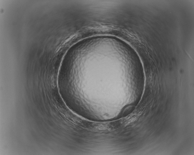 X0000057091205200509301542