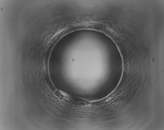 X0000057091206200509301542