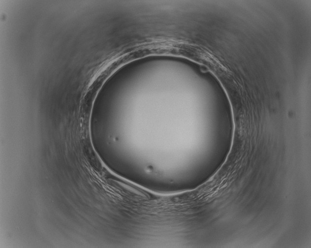 X0000057091208200509301542