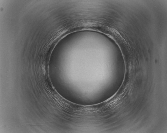 X0000057091209200509301542