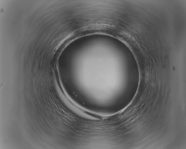 X0000057091210200509301542