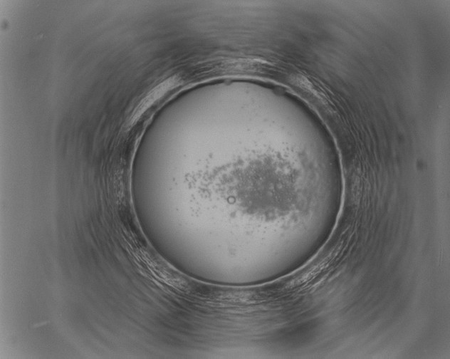 X0000057091211200509301542