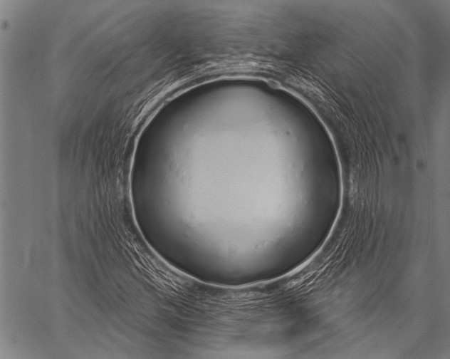 X0000057091212200509301542