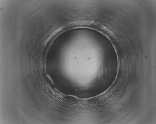 X0000057091213200509301542