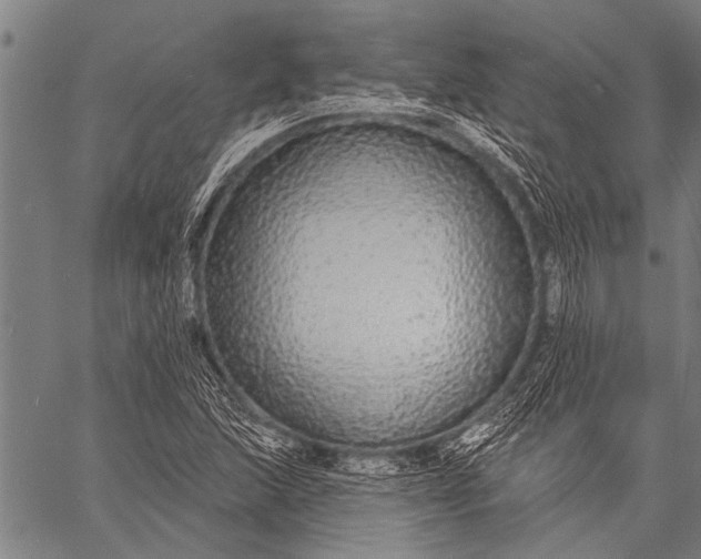 X0000057091215200509301542