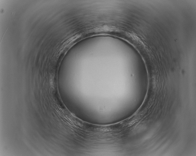 X0000057091217200509301542