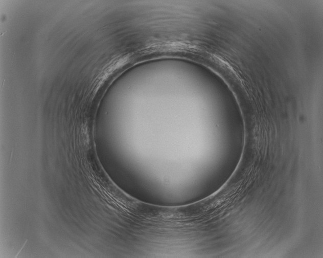 X0000057091218200509301542