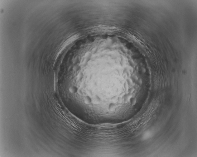 X0000057091219200509301542