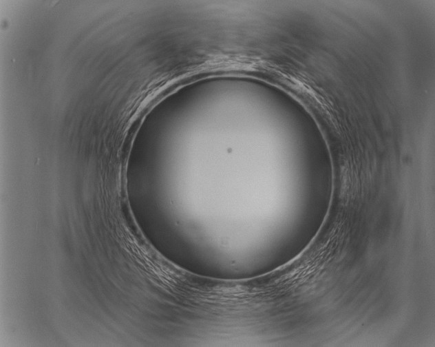 X0000057091220200509301542