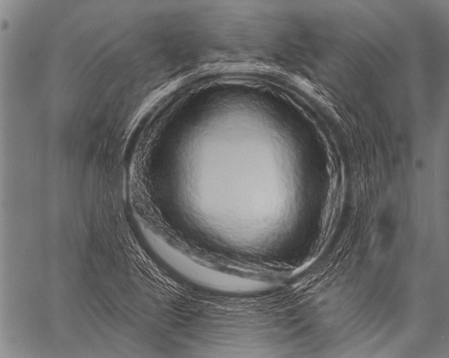 X0000057091221200509301542