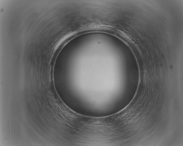 X0000057091222200509301542