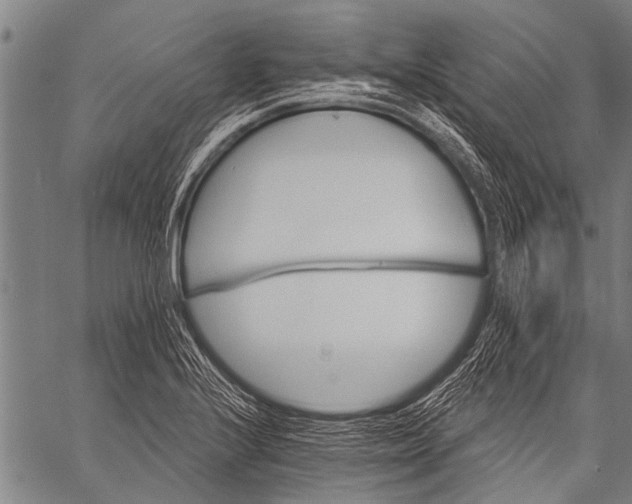 X0000057091224200509301542