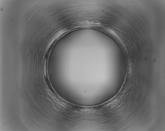 X0000057091227200509301542