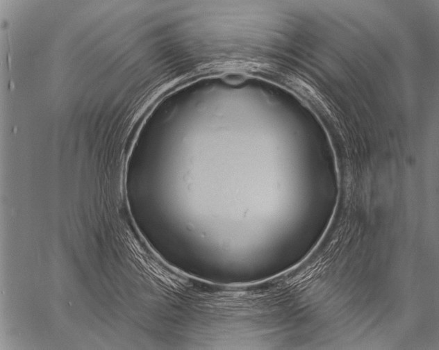 X0000057091228200509301542