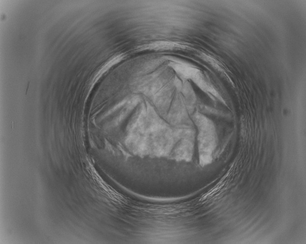 X0000057091229200509301542