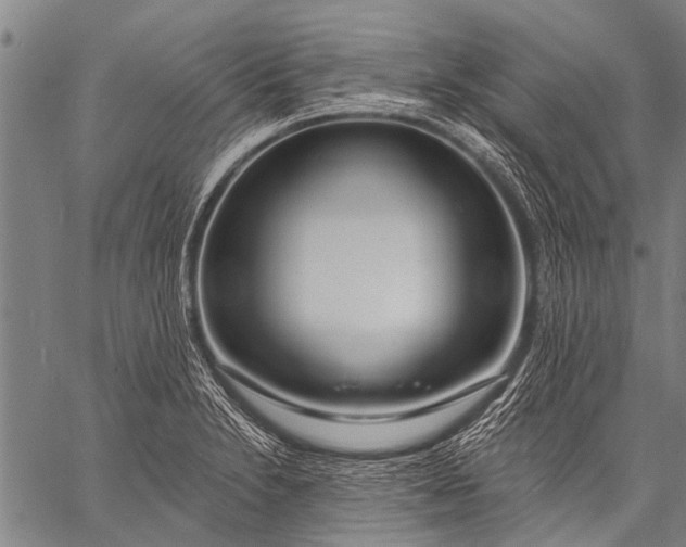 X0000057091230200509301542