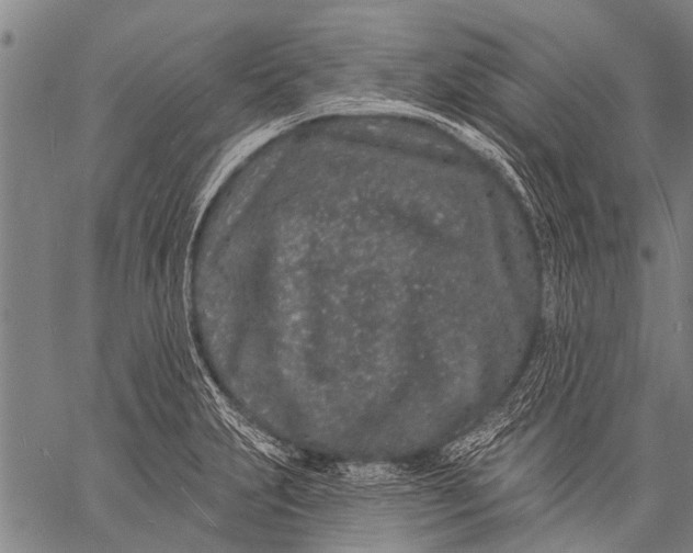 X0000057091231200509301542