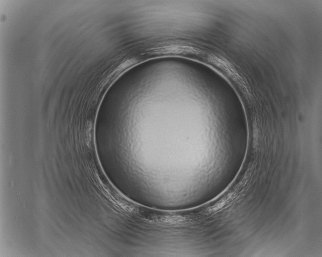 X0000057091233200509301542