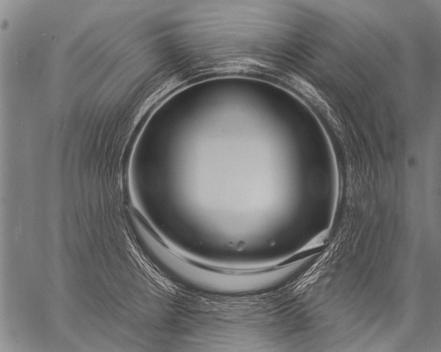 X0000057091234200509301542