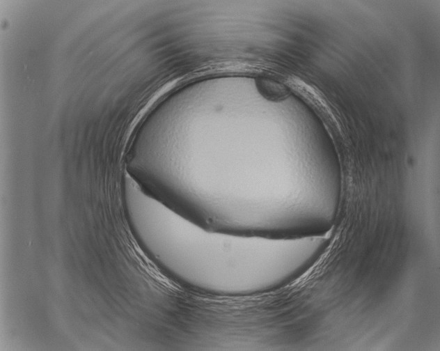 X0000057091236200509301542