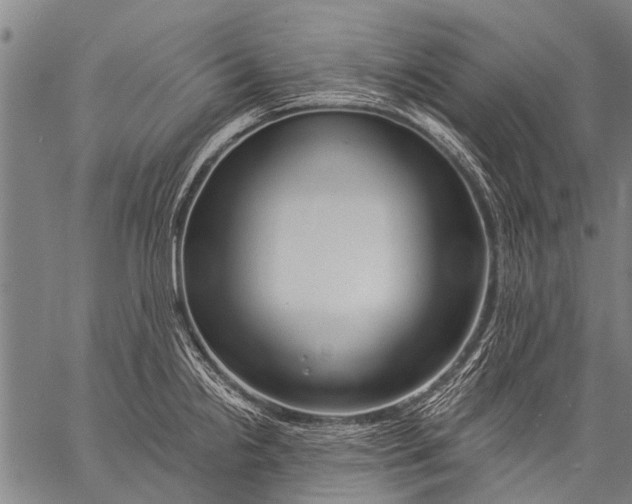 X0000057091238200509301542